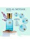 Oil-Based Perfume for Men – Tuxedo-Inspired – 10+ Hour Long-Lasting Oriental Spicy Scent with Amber, Oud & Rose – Alcohol Free – Ideal for Gala & Winter Evenings (30 ML) - 2