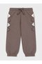 Baby Boys Dino World Sweatshirt & Jogger Pants Set - 3