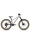 Kids' Bike Hellion Brushed Aluminium 24"
