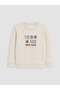 Zero Roba Collar Printed Boys' Thick Sweatshirt 2-Pack from Uzg Store for Style Enthusiasts - 3