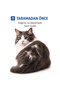Cat Dog Comb Metal Tip Pet Hair Collection Comb Cat Hair Comb Dog Grooming Brush - 2