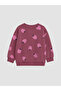 Ozmarka New Season Plum Printed Girls' Thick Sweatshirt - 4
