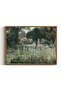 Signtouch Summer Hyacinths Landscape Flower Nature Wall Art Outer Frame 40x60 cm