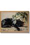 Signtouch Garden Landscape Floral Pond Botanical Wall Art Outer Frame 30x40 cm
