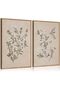Signtouch Botanical Wildflower Floral Wall Art 2-Piece Outer Frame 50x70 cm