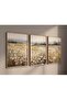 Signtouch Vibrant Abstract Canvas Wall Art Set of 3 White Outer Frame 40x60 cm - 3