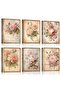 Signtouch Flowers Pink Rose Floral Wall Art 6-Piece Outer Frame 40x60 cm