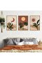 Signtouch Mid Century Sun Moon Botanical Wall Art 3-Piece Wooden Frame 30x40 cm - 4