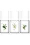 Signtouch Botanical Wall Art Set of 3 Outer Frame 40x60 cm