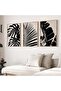 Signtouch Black White Tropical Botanical Wall Art 3-Piece Wooden Frame 50x70 cm