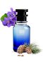Oil Based Perfume for Men – 212 Vipp Mann Wyld Parte Inspired Bold Woody Aromatic with Notes of Caviar, Lime & Black Pepper – Alcohol-Free – 8 Hr Longevity for Confident Style (100 ML)