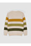 Lcw Kids Ecru Crew Neck Striped Boys' Knit Sweater - 3