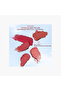 Liquid Lipstick Mud - 5