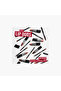 Lasting Finish Satin Lipstick 4gm - 7