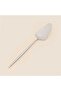 Ece 5 Piece Service Set - Platinum - 4