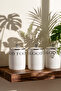 Motto Porcelain 3-Piece Spice Rack Set
