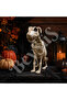 Halloween Horror Themed Sitting Skeleton Dog Figure 38cm - 4