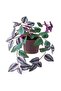 Artificial Potted Plant with Paper Foliage, Green, 10 cm Pot, 28 cm Long
