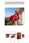 Turkish flag - 2