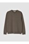 Lcw vision brown crew neck men's sweatshirt