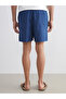 Xside Navy Blue Short Size Spongebob Printed Men's Swim Shorts - 8