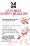 1100 Sheets (100 X 11) Pineapple Surface Cleaning Towels, Rosie Room Fragrance - 8