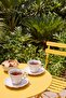 2-Piece Flower Shaped Tea Cup Set 150 Cc Tphaw27Cfn00001