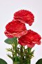 باقة زهور صناعية TDRAW27YCK00001 - 2