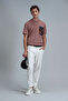 Exotic Modern Graphic T- Shirt Cinnamon - 4