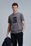 Nally Modern Graphic T-Shirt Mink - 3