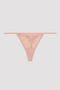 Lacy Dream String Panties