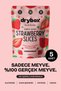 Natural Dried Strawberry Slices (Sweet and Crispy) - 14g Pack of 5