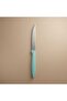 Al Saif Gallery steel peeling knife, size 12 cm - blue