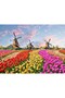 5D Diamond Bead Stone Embroidery Mosaic Tapestry Kit 50X65 cm Sgk77647 Diamond Painting