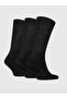Unisex Brand Logo Black Socks Suitable for Daily Use - 2