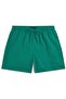 Men's Brand Logo Green Swim Shorts Suitable for Daily Use