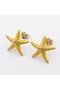 Starfish Steel Earrings