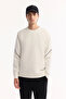 Men's Ecru Crew Neck Cotton Bi-Stretch Printed Regular Fit Sweatshirt A52Y1258 - 2