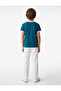 Printed Crew Neck Short Sleeve Cotton T-Shirt - 4