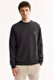 Men's Anthracite Crew Neck Cotton Bi-Stretch Basic Regular Fit Sweatshirt A52Y1328 - 5