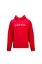 Men's Sweatshirt 40Hm231-600