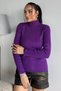 Women's Full Turtleneck Lycra Knitwear Blouse (Available in S-M-L Sizes) - 2