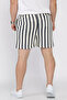 Waist-Tied Striped Patterned Men's Shorts - 3