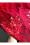 French Guipure Fabric Double Width 150 cm Per Meter Evening Dress Blouse Evening Dress Wedding Engagement Clothes Clothing Fabric - 3