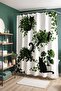 Bathroom Curtain, Cat Playing with a Frog Pattern Shower Curtain, Bathtub Curtain 175X200Cm - 4