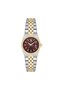 Santa Barbara Polo Sb.4.10075-9 Women Wrist Watch