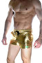 Men's Gold Lame Short