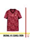 Licensed Puma 2025-2026 Red Alternate Jersey 77981303