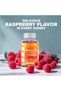 Magnesium Citrate Gummies, 600 mg, 60 Vegan Gummies | 600 mg Magneisum Citrate Per Serving with 70 mg of Elemental Mg, Natural Raspberry Flavor, Non-GMO, Gluten Free, Pectin Based - 4