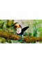 Fun Slap Band Toy with Playtime - 4